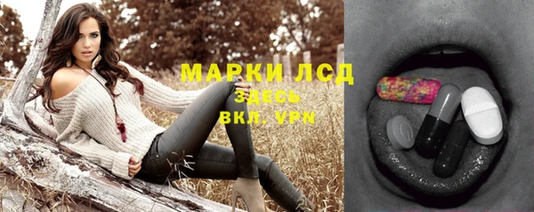 стаф Белокуриха