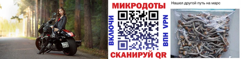 Галлюциногенные грибы Cubensis  магазин продажи наркотиков  Гай 